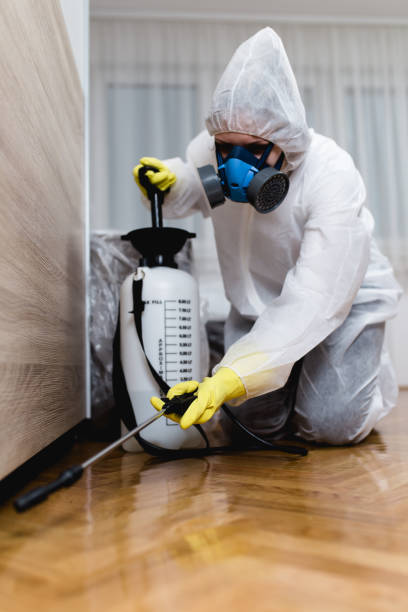 Best Bed Bug Extermination  in Plainedge, NY